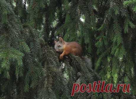 Мой Мир@Mail.Ru