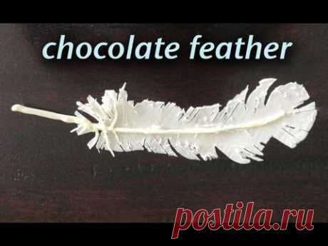 Chocolate Feather Decoration Garnish How To Cook That Ann Reardon