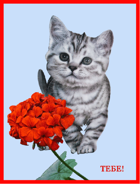 Блестящие анимированные картинки - Группы Мой Мир