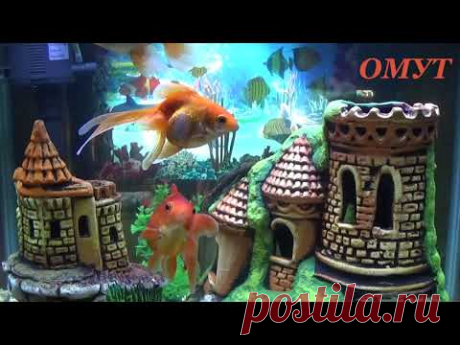 305. ПРИЗОВЁМ ВРАГА к ОТВЕТУ...