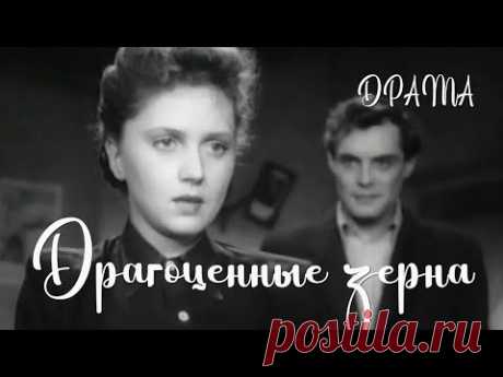 Драгоценные зерна (1948) Фильм Иосифа Хейфица, Александра Зархи В ролях Галина Кожакина Драма ★ ПОДПИСЫВАЙТЕСЬ на канал и смотрите более 1000 фильмов: https://www.youtube.com/channel/UC7-_uJKpRJXmsxD2B0idDqgДля подготовки дипломной работы молодую журн...