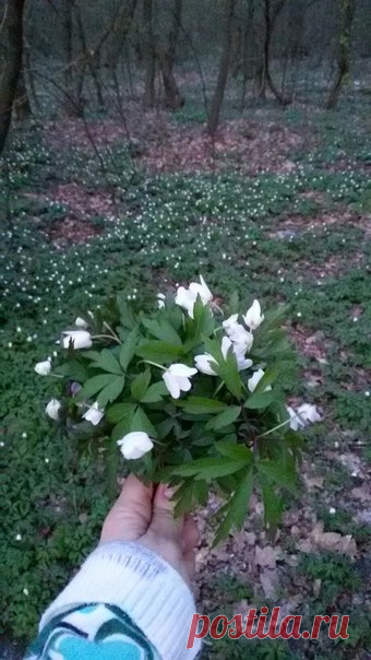 12.04.2018 Часть 1. Украина, Львовская область, город Великие Мосты. Весенняя прогулка на велосипеде.