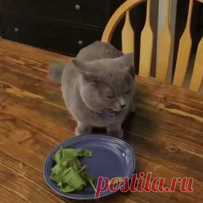 Одноклассники