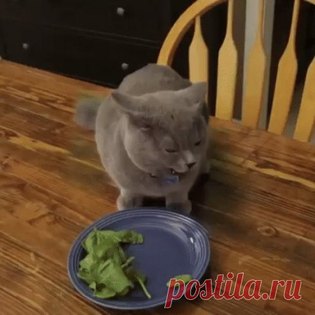 Одноклассники