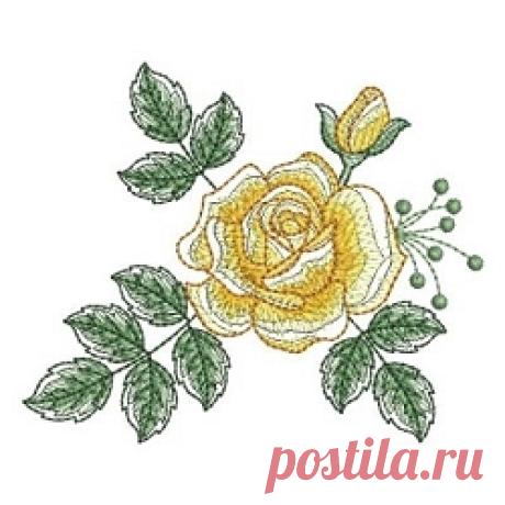 Sketched Roses 2, 11 - 4x4 | Wedding | Machine Embroidery Designs | SWAKembroidery.com