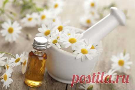 Ромашковое масло лечит вены