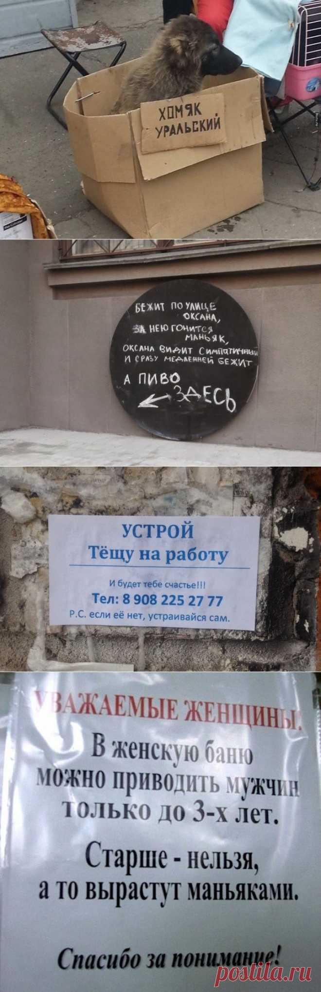 Объявления, читать которые одно удовольствие | Домашняя аптечка