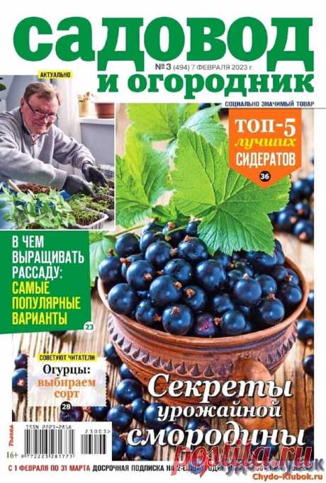 Садовод и огородник №3 2023 * Переделки.Ру Садовод и огородник №3 2023 Читать журнал ОНЛАЙН