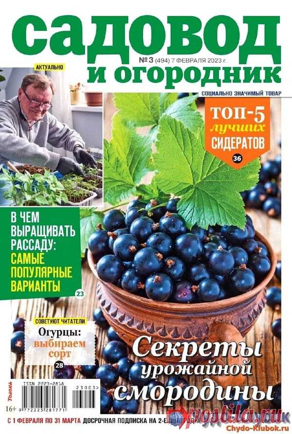 Садовод и огородник №3 2023 * Переделки.Ру Садовод и огородник №3 2023 Читать журнал ОНЛАЙН