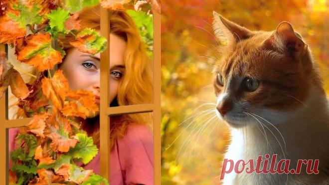 Ах, эта осень - рыжая кошка...