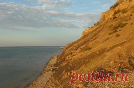 (49) Одноклассники