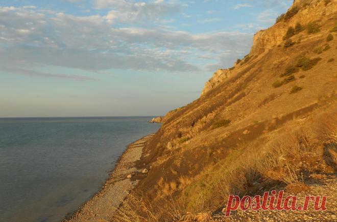 (49) Одноклассники