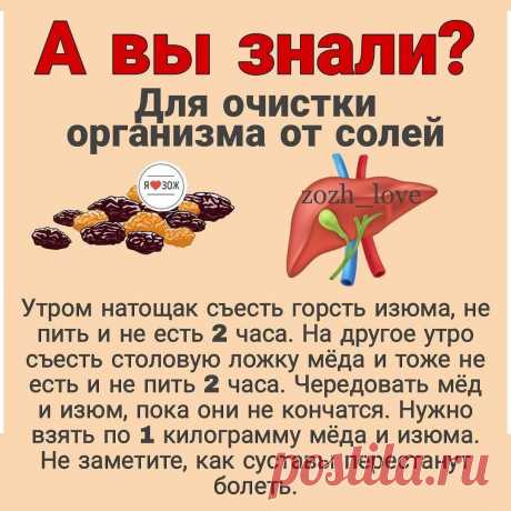 Photo by ЗОЖ/ФИТНЕС/ПП on January 31, 2022. May be an image of text that says 'A вы знали? Для очистки организма от солей зоЖ zozh love Утром натощак съесть горсть изюма, не пить и не есть 2 часа. На другое утро съесть столовую ложку мёда и тоже не есть и не пить 2 часа. Чередовать мёд и изюм, пока они не кончатся. Нужно взять по 1 килограмму мёда и изюма. Не заметите, как суставы перестанут болеть.'.