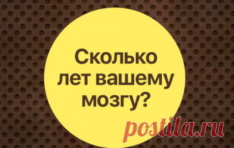Тест: ваш мозг старше или моложе вашего настоящего возраста? Мозг старика или подростка?…