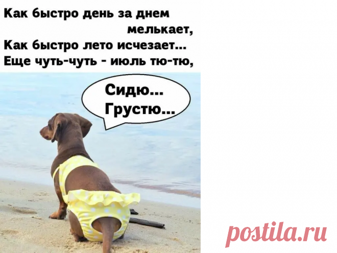 Выпуск №6503 - выпуск анекдотов сайта вокруг смеха