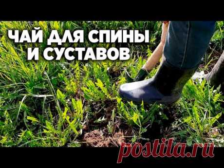 ЗАБУДЬТЕ О БОЛИ В КОЛЕНЯХ СПИНЕ СУСТАВАХ ЛЕЧЕНИЕ БЕЗ ТАБЛЕТОК @О жизни и здоровье с Марусей