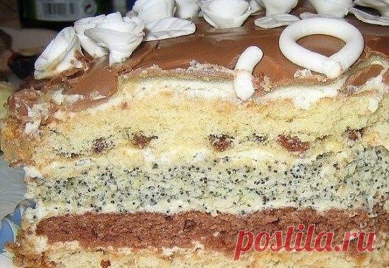 (1) Одноклассники