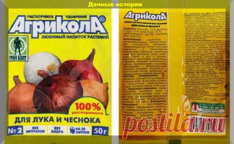 Наипростейшая подкормка чеснока и лука способная увеличить урожай. | Дачные истории | Яндекс Дзен