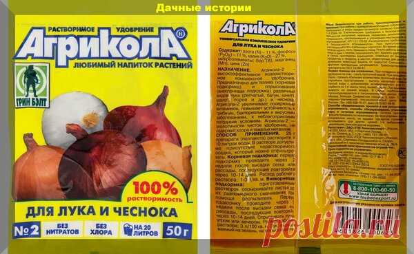 Наипростейшая подкормка чеснока и лука способная увеличить урожай. | Дачные истории | Яндекс Дзен