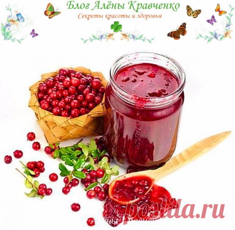 Брусника на зиму - рецепты в сахаре, без варки, протертая, замороженная, моченая  | Блог Алёны Кравченко