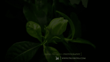 Измени себя - и мир изменится вокруг!!!  - муз.откр.