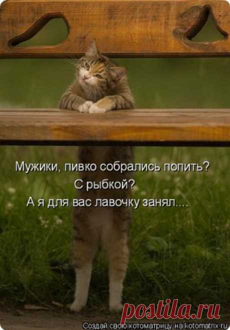 МУП Североморские Теплосети