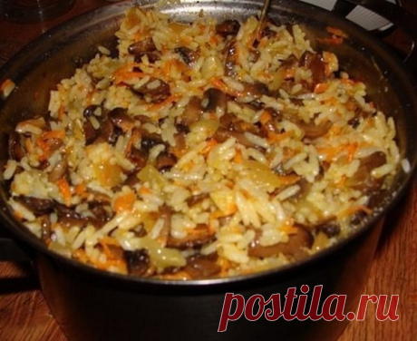 ПЛОВ С ГРИБАМИ