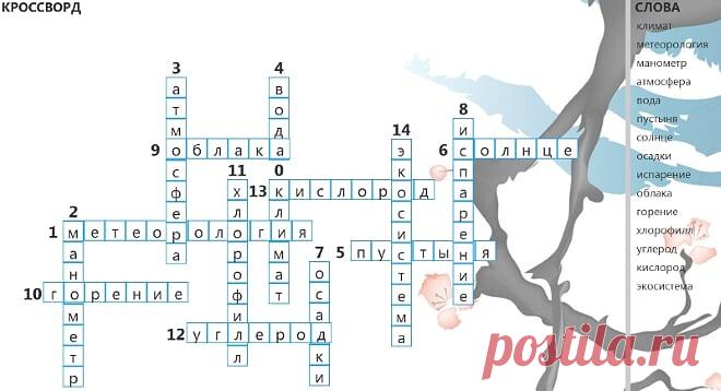 Кроссворд для детей – Окружающая среда - Детские клипы