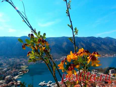 (3) Facebook