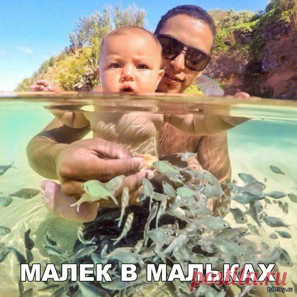 Смешные картинки с надписями (30 фото) . Тут забавно !!!