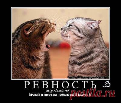 Что делать если тебя ревнуют???