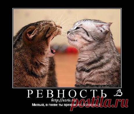 Что делать если тебя ревнуют???