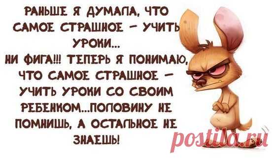 Подборка шуток о жизни женщинах