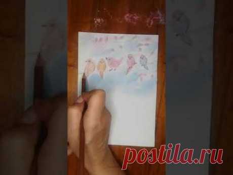 Нарисовала котика и птиц - YouTube