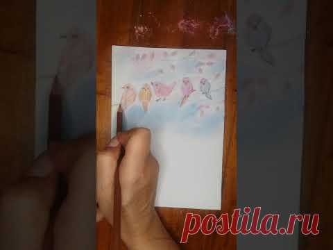 Нарисовала котика и птиц - YouTube