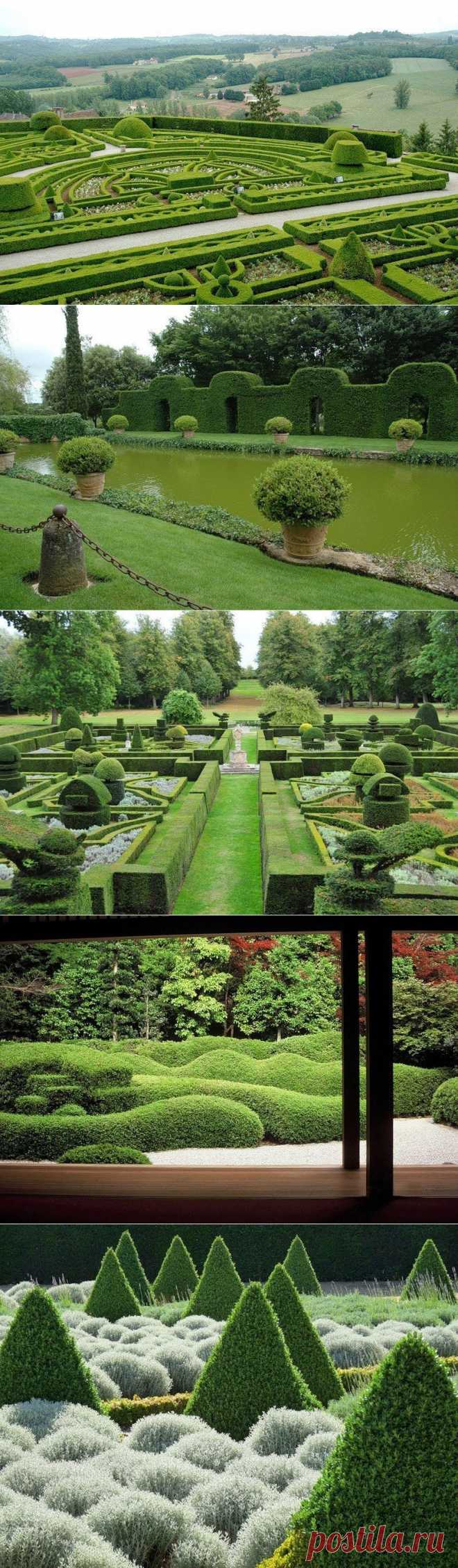 Топиарные сады - один из древнейших видов садового искусства