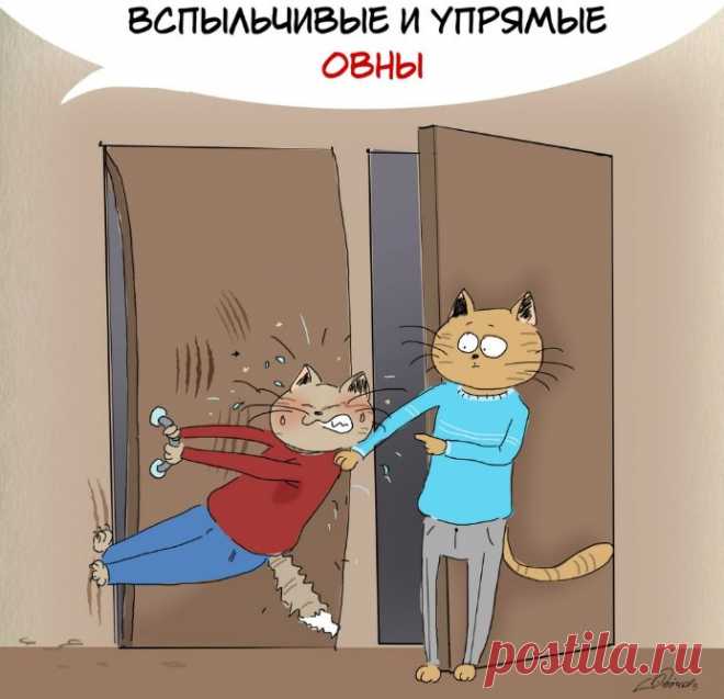 Знаки Зодиака в позитивных картинках. Узнаете себя? . Милая Я