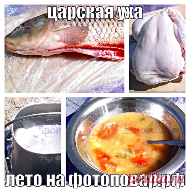Народная мудрость гласит, что лучшая уха из петуха. И это не шутка - попробуйте приготовить по моему рецепту и убедитесь в этом сами.

Итак, сегодня я буду готовить уху из сазана на основе куриного бульона. Такую уху еще называют царской ухой. Все это будет происходить на даче, на свежем воздухе, варить будем куриную уху в котелке на костре. Поехали, уха из сазана, уха с дымком - рецепт...