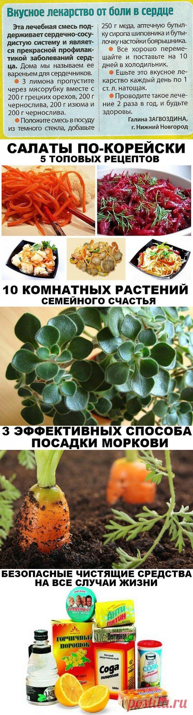 ✔ ПОЛЕЗНЫЕ СОВЕТЫ :