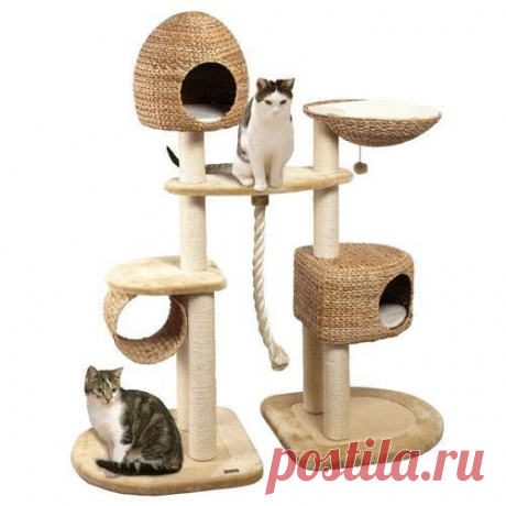 Домик для кошки и кота своими руками: как сделать