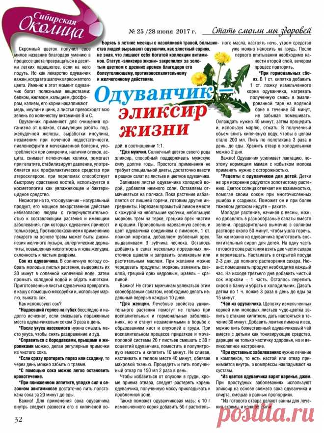 Одуванчик - эликсир жизни