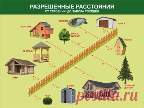 Ветви дерева с чужого участка растут над моим. Законные способы воздействия на соседа