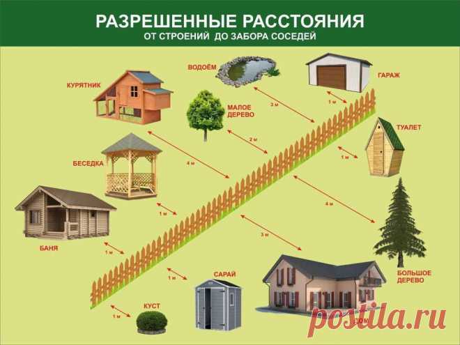 Ветви дерева с чужого участка растут над моим. Законные способы воздействия на соседа