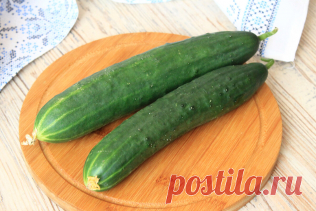 Предлагаю 2 рецепта быстрых и вкусных салатов из свежих огурцов: минимум ингредиентов и никакого майонеза | Я Готовлю... | Яндекс Дзен