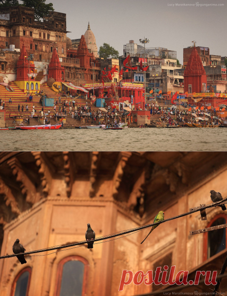 Варанаси - "прижизненный" рай для фотографов! / Моя Планета
