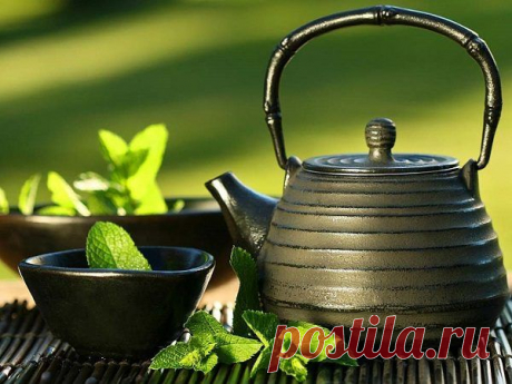 20 продуктов для сжигания жира / Будьте здоровы