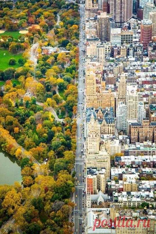 Центральный парк. Нью-Йорк, США