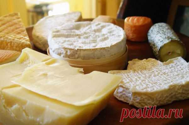 Чем заменить "экзотические" сыры | Все о продуктах | Само Совершенство