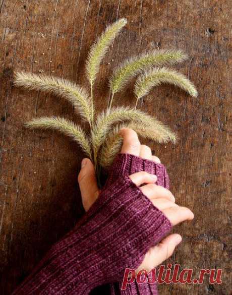 Митенки 2*2 / KNITLY.com - блог о рукоделии, мастерклассы