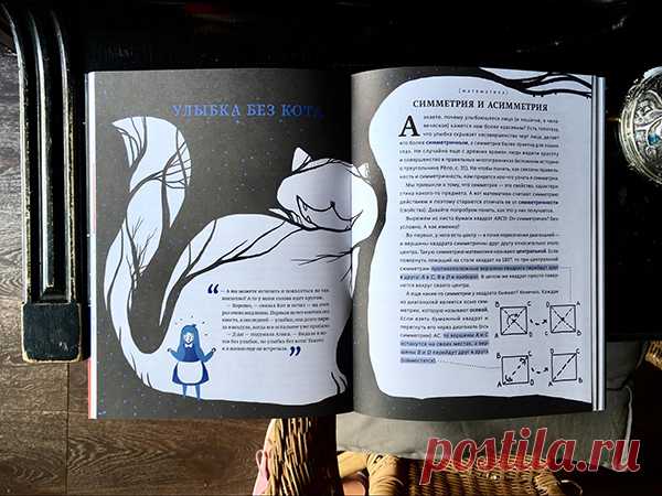 Как связаны Чеширский кот и асимметрия? Теснее, чем может показаться на первый взгляд.